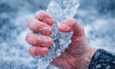 Холод активирует болевые рецепторы кожи при низких температурах — нейробиолог Грандль
