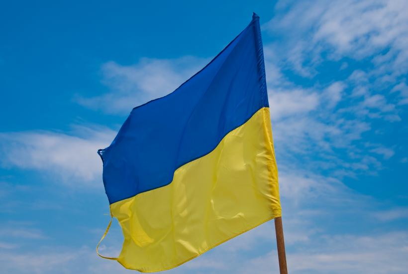 Украинский флаг