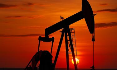 Bloomberg: отказ от нефти из России ударит по Индии сильнее санкций