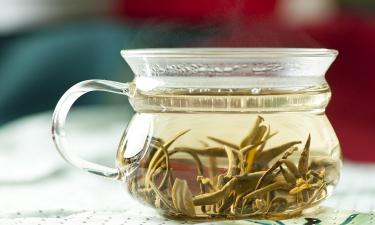 Зеленый чай во время еды снижает усвоение железа на 25–65 процентов — Белновости