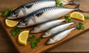 Российские рыболовецкие суда нарастили уловы иваси и скумбрии в Тихом океане — ВНИРО