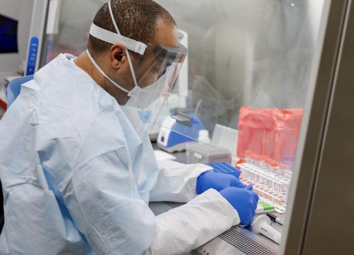 DailyMail: созданный учеными штамм коронавируса уничтожил всех подопытных мышей