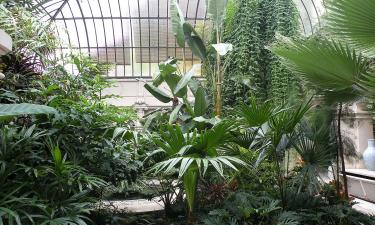 Пальмовый дом в Кью закроется на реставрацию в 2027 году — проект оценили в £50 млн