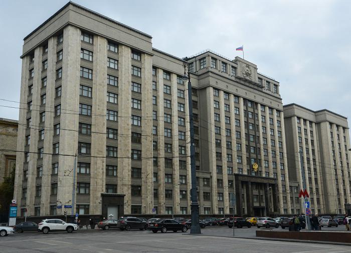 В Госдуме обсудили вопросы поддержки литераторов