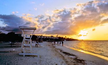 Ямайка собирает рай по кусочкам: план восстановления, о котором говорят во всём мире