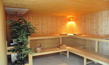 Сауна снижает риск сердечных заболеваний при регулярном использовании — BMC Medicine