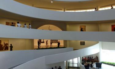 МоМА в Нью-Йорке стала главным музеем современного искусства — искусствоведы