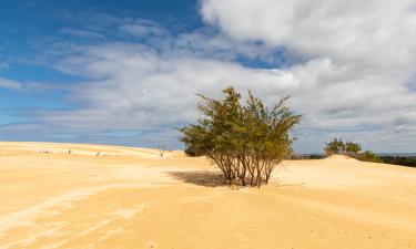 Главные убийцы Австралии не акулы и змеи: новый рейтинг ошеломил даже местных жителей