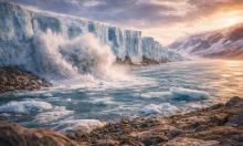 Лёд отступил — и открылся мир мёртвых гигантов: Арктика показала своё самое страшное забытое кладбище