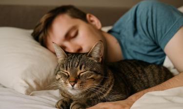 Ночной будильник на лапках: как кошка лишает часов сна — и что с этим сделать