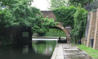 Британия тонет без наводнения: почему 99 процентов рек и каналов оказались в зоне риска