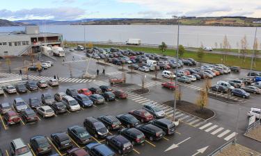 Ford и Renault объединяют усилия на европейском рынке — CNN