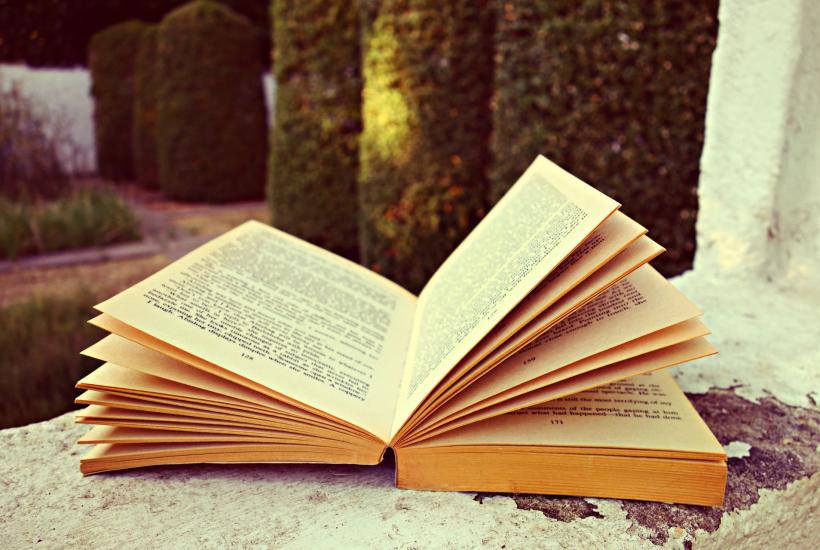 Раскрытая книга