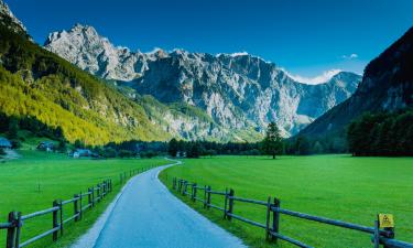 Пасторальная идиллия: праздник, ради которого стоит приехать в Швейцарию в сентябре