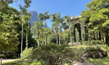 В Рио-де-Жанейро талипоты зацвели после 60 лет ожидания — Associated Press