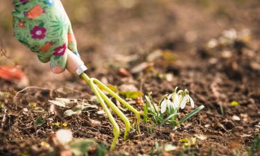 Бытовые отходы используются как замена покупным контейнерам