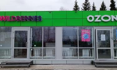 Wildberries идёт в финансы: как маркетплейс придумал способ платить клиентам