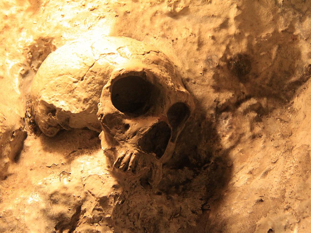 Древняя проказа в Америке: шокирующее открытие для научного мира