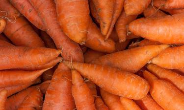 Не спешите выбрасывать яичные коробки: из них получается идеальная грядка для моркови