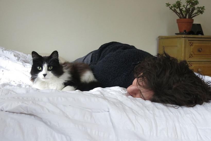 Кошка лежит с человеком