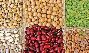 Зернобобовые с учётом местных вкусов: Россия налаживает прямые контакты с индийскими покупателями