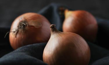 Луковая кожура используется как натуральное удобрение и краситель — primainspirace