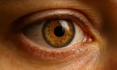 Экранная болезнь XXI века: гаджеты делают нас слепыми медленно — без шансов на восстановление зрения