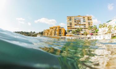 ОАЭ, Бахрейн и Кайманы сохраняют подоходный налог в 0%