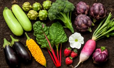 Белок из постной миски: продукты, которые заменят мясо и не дадут упасть силам