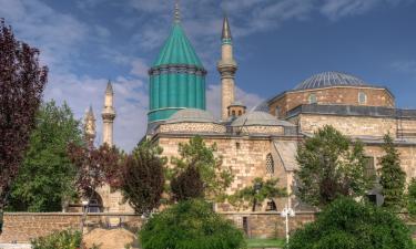 Россиян любят не там, где их больше: неожиданный вывод о путешествиях за границей