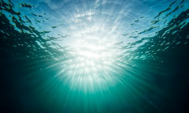 Сорбция и трансформация стабилизируют углерод в океане — доктор Пейман Бабаха