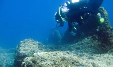 Рыбы отличают дайверов по цвету их снаряжения — биолог Джордан