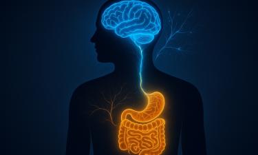 Подтверждена связь кишечника и психики — гастроэнтерологи