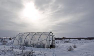 Зимнее проветривание теплицы снижает влажность и риск плесени — Actualno