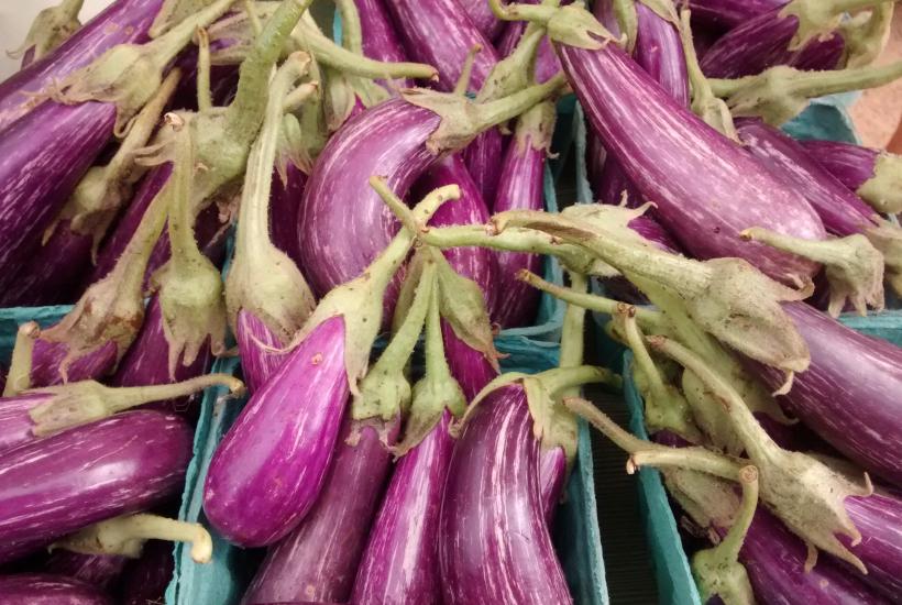 Fairy Tale Eggplant