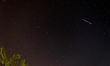 Время не лечит: Вера Алдонина рассказала, как пережила смерть мамы Юлии Началовой