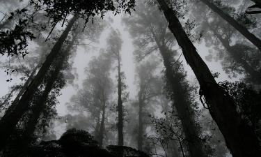 Сибирь без удобств: деревня, которую забыли в 21 веке