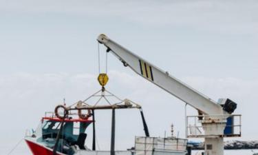 Рыбная волна рекордов захлестнула Россию: улов достиг миллионов тонн