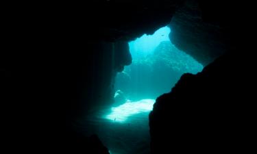 Длину подводной пещеры Ox Bel Ha увеличили до 524 км— Vokrug Sveta