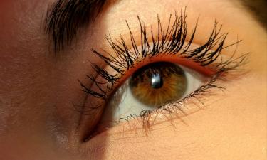 Цена красоты: как дешёвая тушь может стоить вам здоровья — 6 опасных ингредиентов