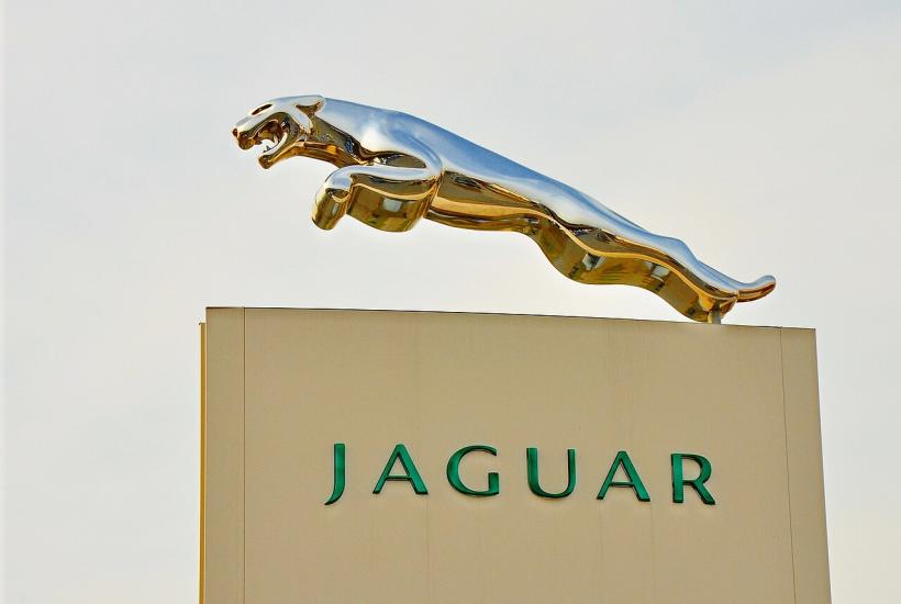 Jaguar