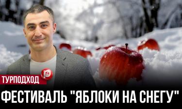 Зима с яблочным характером: как Мичуринск и Тамбовская область развивают событийный туризм