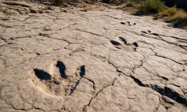Неожиданный союз динозавров: зачем разные виды формировали стадо