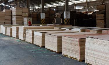 Российские целлюлозно-бумажные гиганты в кризисе: почему растут долги и убытки