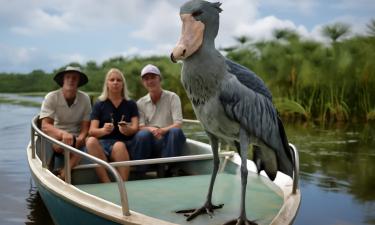 В Уганде туристы неожиданно встретили редкого китоглава на озере Виктория