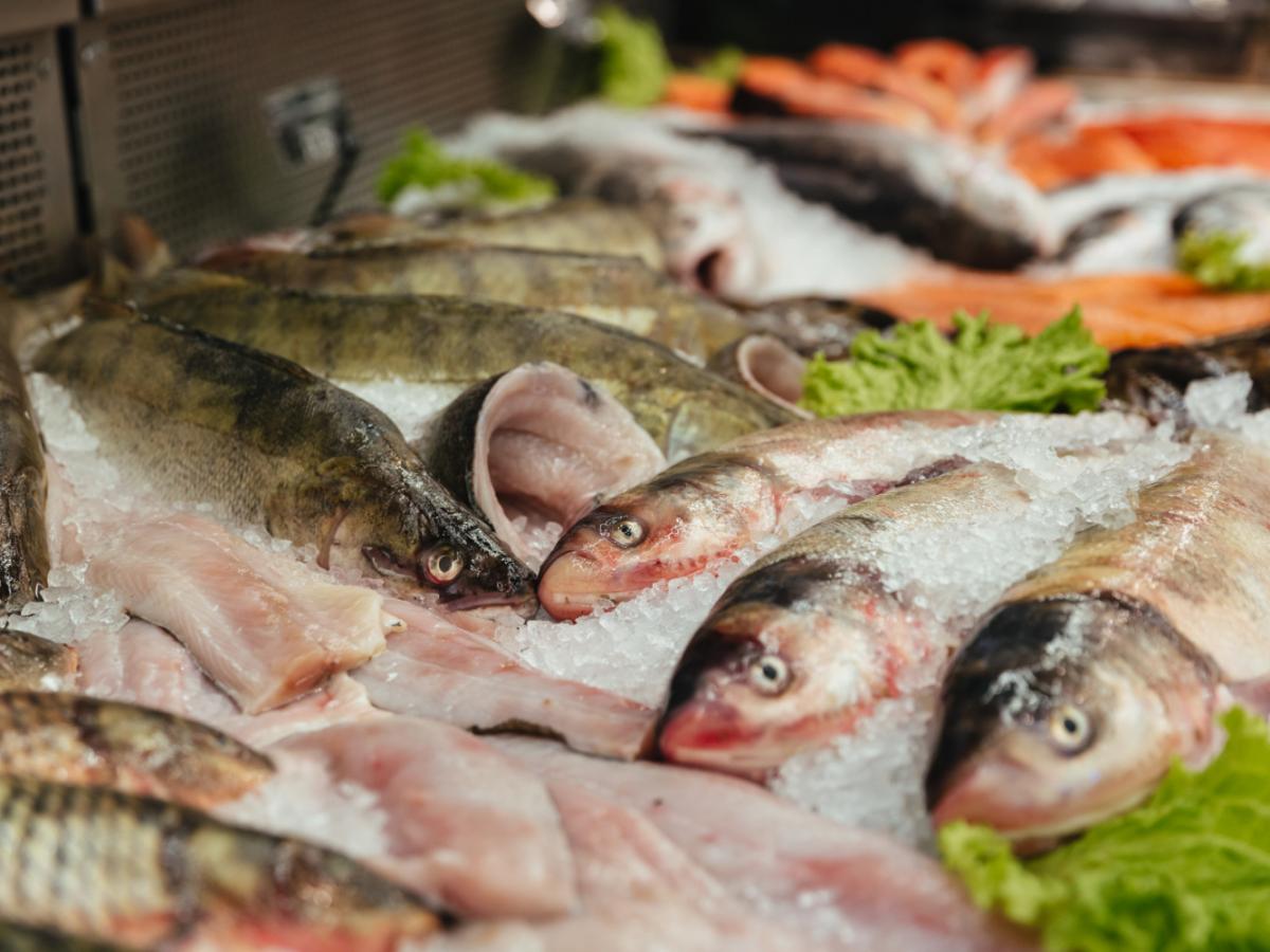 Розничные сети завышают цены на рыбу в несколько раз  Союз рыбопромышленников