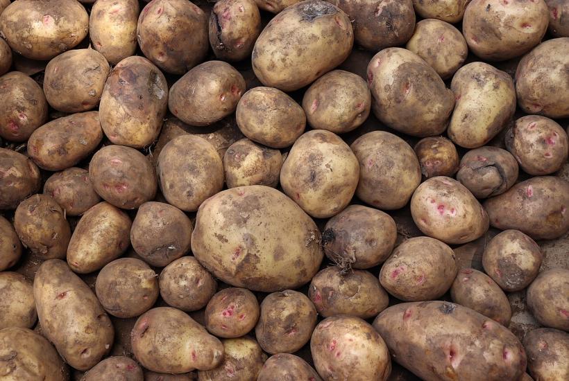 Картофель