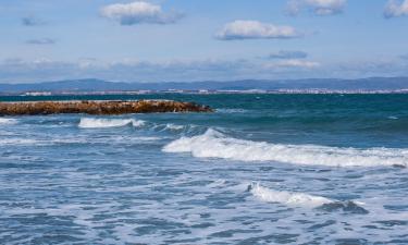 Рио-Гранде-Райз содержит минералы кобальта и никеля — исследователь Брэмли Мертон