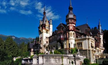 Румыния предупреждает: эта природная опасность подстерегает туристов на каждом шагу!