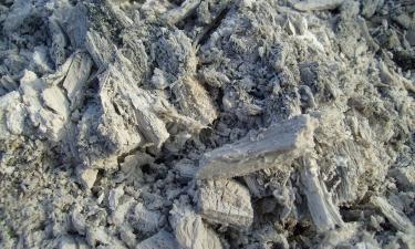 Древесная зола повреждает корни растений на лёгких грунтах — Mein schöner Garten